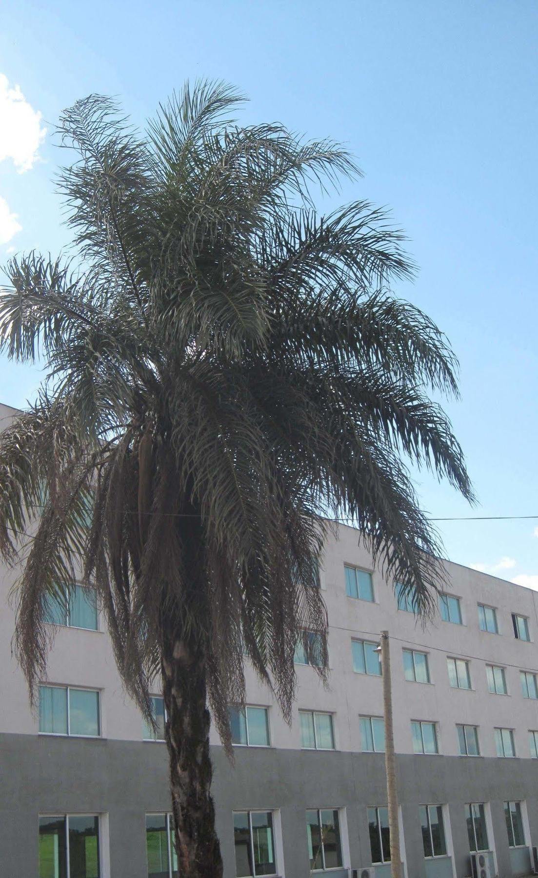 Hotel Mirante Sao Bras Sao Bras do Suacui Экстерьер фото